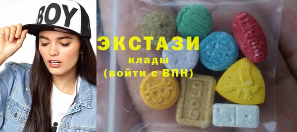 амф Гусев