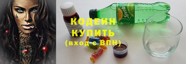амф Гусев