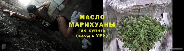 амф Гусь-Хрустальный