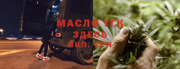 амф Гусев