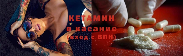 амф Гусев