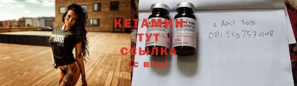 амф Гусев