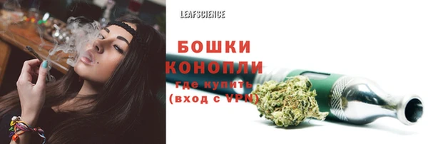 крисы Гусиноозёрск