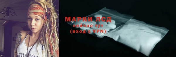 амф Гусь-Хрустальный