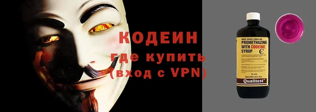 амф Гусь-Хрустальный