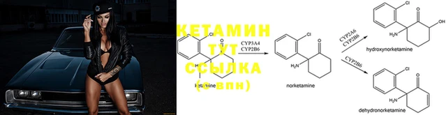 амф Гусь-Хрустальный