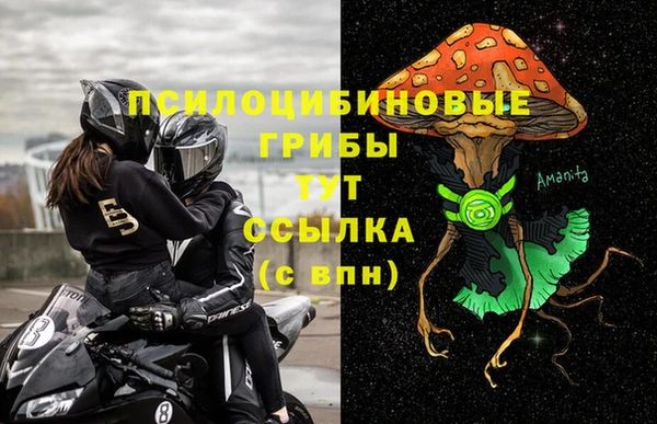 амф Гусев
