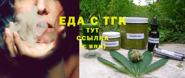 амф Гусев