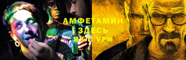 амф Гусь-Хрустальный