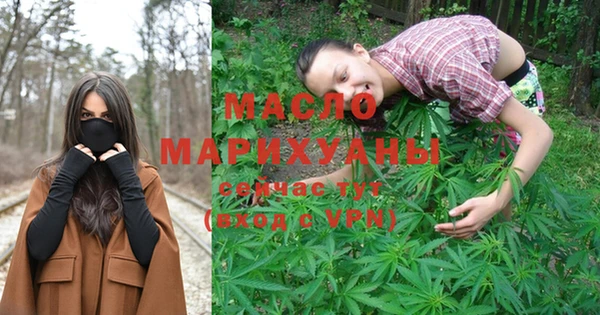 амф Гусев