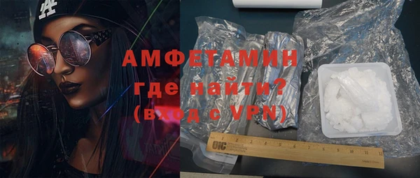 амф Гусь-Хрустальный