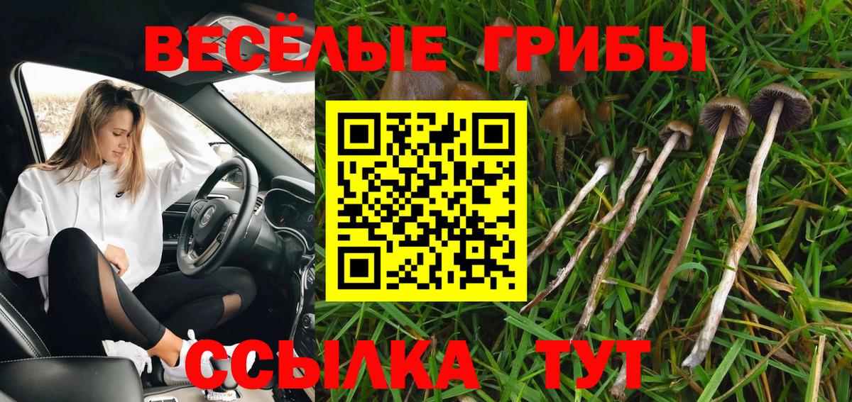 Галлюциногенные грибы прущие грибы  Добрянка 