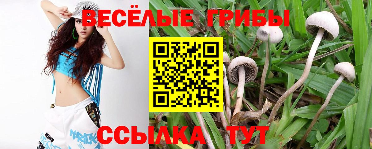 Галлюциногенные грибы Cubensis Добрянка
