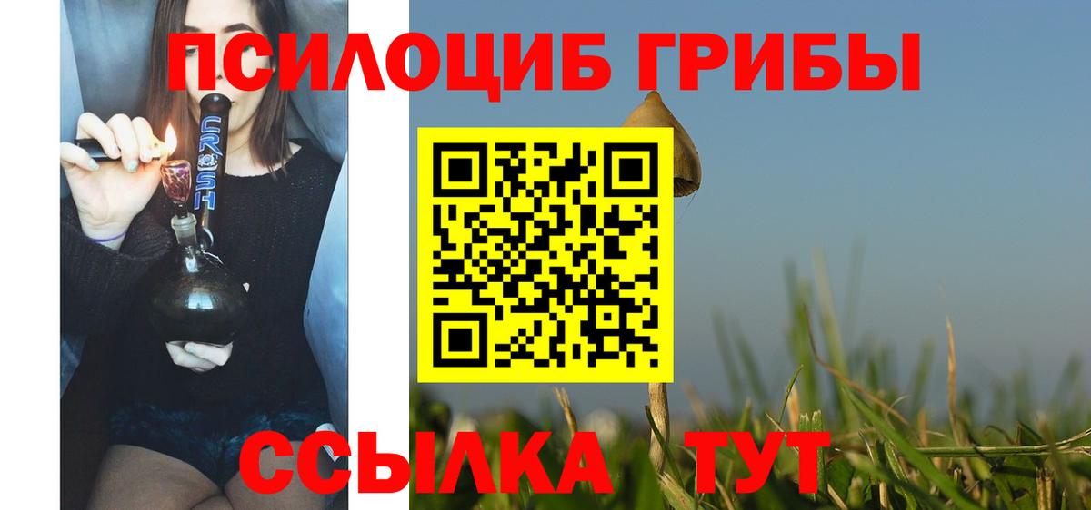 Добрянка  Галлюциногенные грибы Cubensis  Вход с VPN 